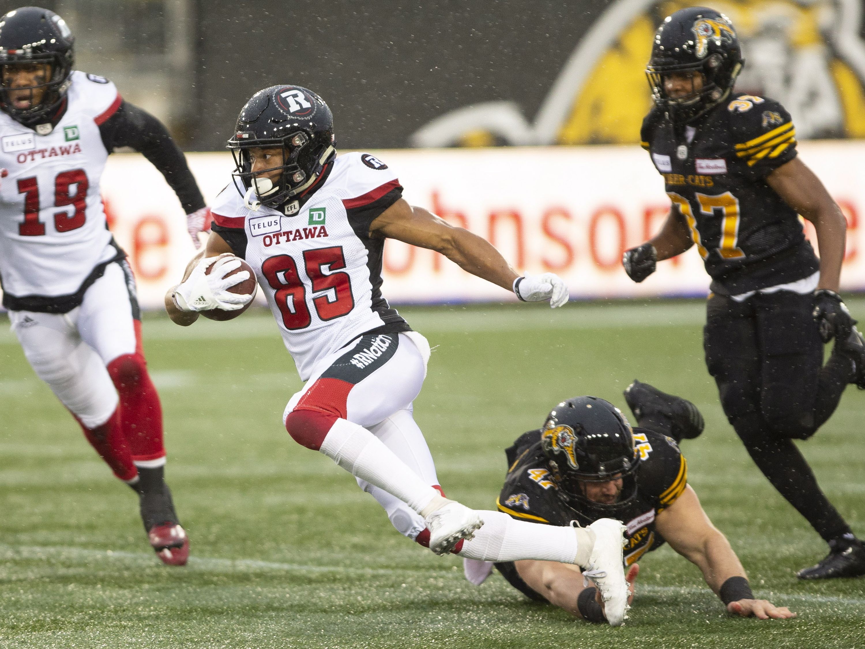 Trevor Harris leads Redblacks to victory against Tiger-Cats in CFL's East  Final - Hamilton