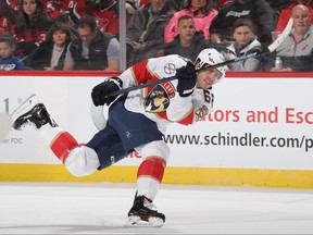 Florida Panthers winger MIke Hoffman had a 15-game point streak heading into Monday's game in Ottawa. GETTY IMAGES
