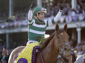 Joel Rosario celebrates after riding Accelerate to victory in the Breeders' Cup Classic horse race at Churchill Downs, Saturday, Nov. 3, 2018, in Louisville, Ky. (AP PHOTO)