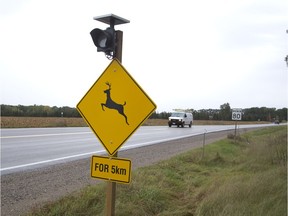 A deer collision advisory signs in Middlesex County. Derek Ruttan/Postmedia