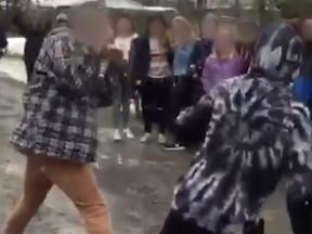 Frame grab from Instagram video post of a fight near South Carleton High School.