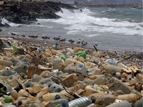 Seagulls search for food near a sewage discharge area next to piles of plastic bottles on the seaside of Ouzai, south of Beirut, in July 2018.