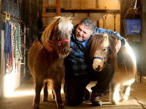 Maintaining the animals is hard work, but, like this pair of miniature ponies, they clearly give the love back to Andy.