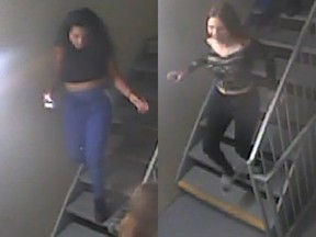 Police seek suspects in Nov. 1 robbery