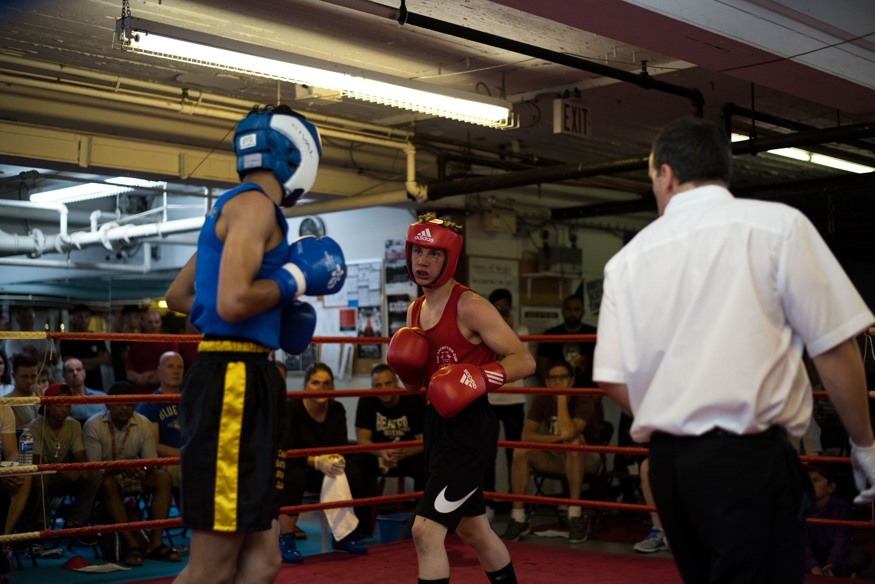 silver gloves amateur mark stacona