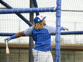 Vladimir Guerrero Jr., drills another line-drive homer during BP yesterday in Dunedin, Fla. Guerrero says one of his first tasks is to earn the trust of his veteran teammates.  THE CANADIAN PRESS/Nathan Denette