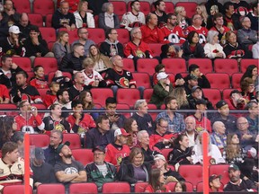 Fans watch an Ottawa Senators game at the Canadian Tire Centre.