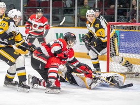 The Ottawa 67's Sam Bitten scores against the Hamilton Bulldogs on Friday, Feb. 15, 2019 at the TD Place arena.
