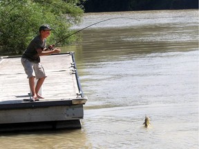 Osten St. Amand, 10, hauls in a catfish at the Thames Grove Conservation Area in Chatham, Ont., last August.