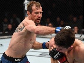 Cowboy Cerrone punches Alexander Hernandez in a lightweight bout in New York during January 2019.