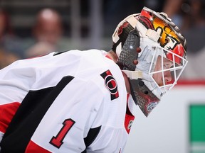 Senators goalie Mike Condon is finally healthy and full of confidence.