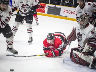 Ottawa 67's take a shot on Guelph Storm goalie Anthony Popovich at TD Place Arena on Saturday.