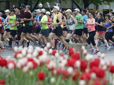 Runners take part in the marathon at the Ottawa Race Weekend on Sunday, May 26, 2019.  (Patrick Doyle)  ORG XMIT: 60526 raceweekend 06
