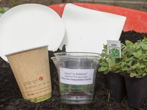 The NAC unveiled a program that will introduce plant-based food and drink containers and transform them into compost to be put into herb gardens that will be used in the kitchen. The move will divert 500,000 containers from the landfill annually.