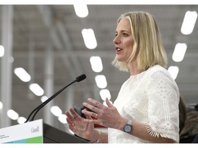 Minister of Environment and Climate Change Catherine McKenna speaks to reporters during a press conference on the Climate Action Incentive at a Canadian Tire store in Ottawa on March 4, 2019.