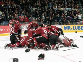 Guelph Storm clebrate their 8-3. win against the Ottawa 67's.