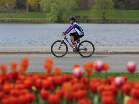 A cyclist.