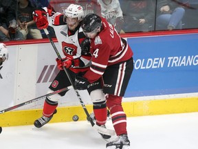 The Guelph Storm beat the Ottawa 67's on Monday night to climb back into their OHL series. (Luke Durda/OHL Images)