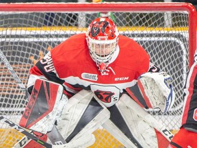 Ottawa 67's goalie Cedrick Andree