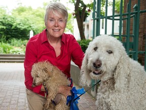 Sharon Cook's puppy, Walter, became very sick and needed emergency intravenous after he apparently ate a butt of cannabis in the park. She also has a bigger dog, Clifford, who may have eaten it but was not affected.