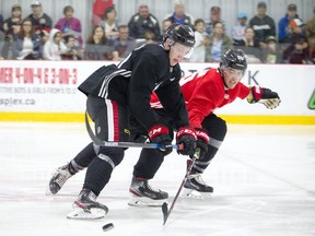 The Ottawa Senators development camp was at the Bell Sensplex for a 3-on-3 tournament Saturday, June 29, 2019. Lassi Thomson, left, battles to keep the puck away from Alex Formenton.