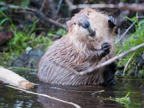 (Getty Images file photo)