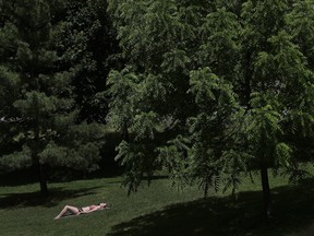 Relaxing in the summer sun on a nice day near the Rideau canal in Ottawa Friday June 21, 2019.