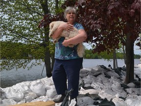 This was the second flood in as many years to hit Shannon Grove's home in Constance Bay. She looks out on the swollen river with her dog, Murphy, on Saturday.