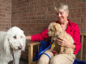 Sharon Cook's puppy, Walter, became very sick and needed emergency intravenous after he apparently ate cannabis in the park. She also has a bigger dog, Clifford, who may have eaten it but was not affected.