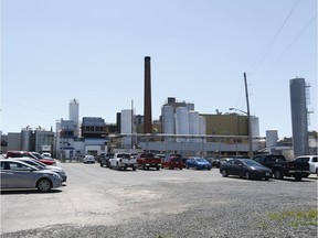 Parmalat, the dairy giant, took over the cheese plant in Winchester a few years ago and has expanded it many times. Trouble it, it's right in the middle of town. Winchester residents have mobilized and formed an Action group with their complaints about dust, traffic but mostly the stink that comes from overflowing effluent lagoons.