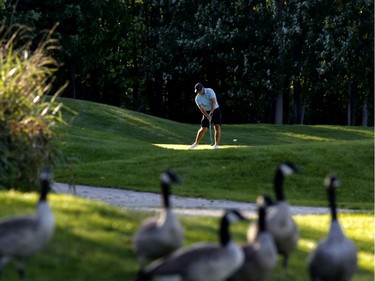 Darren Campbell takes part in the Ottawa Sun Scramble at the Eagle Creek Golf Club on Sunday.