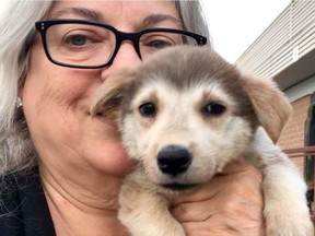 Karen George holds up a puppy in a photo from Facebook. George organizes transportation of rescued dogs from northern Manitoba communities to Ottawa.