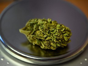 Cannabis flowers that were meant to be sold as herbal tea, ended up at a police station in Brest, western France.