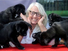 Alex Hudson loves dogs. Beyond having one of her own and three other rescues, she recently took in almost a baseball team number of puppies from Ottawa Dog Rescue when they were just one day old.