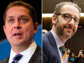 scheer-butts1000