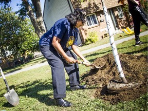 A group of residents in the Craig Henry area came together to plant a tree Saturday, Sept. 21, 2019, recognizing the one-year anniversary of the tornado hitting the area. Marie Weerasooriya-Epps shovels some dirt onto the newly planted tree.   Ashley Fraser/Postmedia