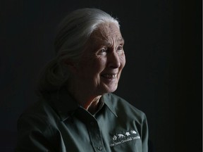 Jane Goodall is in Ottawa this week for a series of fund-raising engagements.