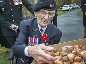 Don White, 95, takes a look at the gift box of tulips presented to the NCC. The royal gift of "Liberation75" tulips was given during a ceremonial tulip planting on Wednesday at Commissioners Park.lands. This tulip species was selected to celebrate the 75th anniversary of the liberation of the Netherlands. As an early- to mid-blooming flower, it will coincide with the annual Dutch Liberation Day celebration on May 5 and the Canadian Tulip Festival in Canada's Capital, taking place from May 8 to 18, 2020. Photo by Wayne Cuddington / Postmedia