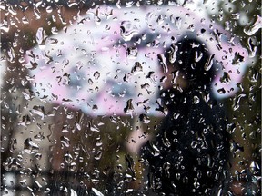 An umbrella clad pedestrian walks along Elgin Street in Ottawa on a rainy day.