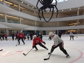 The Ottawa Senators practice at a rink at the American Dream Mall decorated with gigantic fake spiders hanging from the rafters, leftovers from a Halloween public skating party.