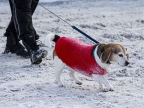 Residents are dealing with the first significant snowfall of the season in Ottawa.