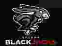 Ottawa BlackJacks team logo