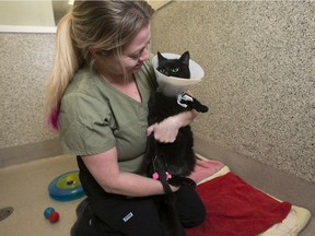 Kelly Hume, a registered veterinary technician at the Ottawa Humane Society, makes her rounds on Christmas Day.