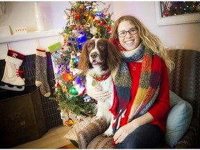 Hadley, an English Springer Spaniel, was being boarded at Regina Palamar's In The Doghouse.