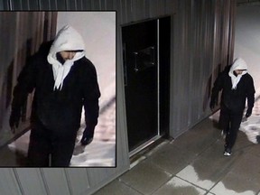 Security cam photos of a suspect in a number of peeping Tom incidents in Sandy Hill