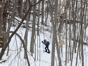 A young boy snow shoes in Gatineau Park on Tuesday. The 42nd edition of the Gatineau Loppet will take place in the area in mid-February.