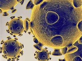 Coronavirus: This handout illustration image obtained courtesy of the US Food and Drug Administration shows the coronavirus, COVID-19.