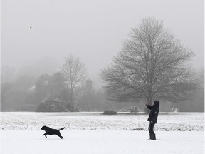 A person walks a dog in the snow.