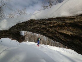 Kelly McTavish during the 27 km Freestyle race at the Gatineau Loppet on Sunday.