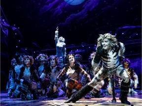 Cats production stills.